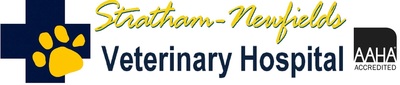 Stratham-Newfields Veterinary Hospital